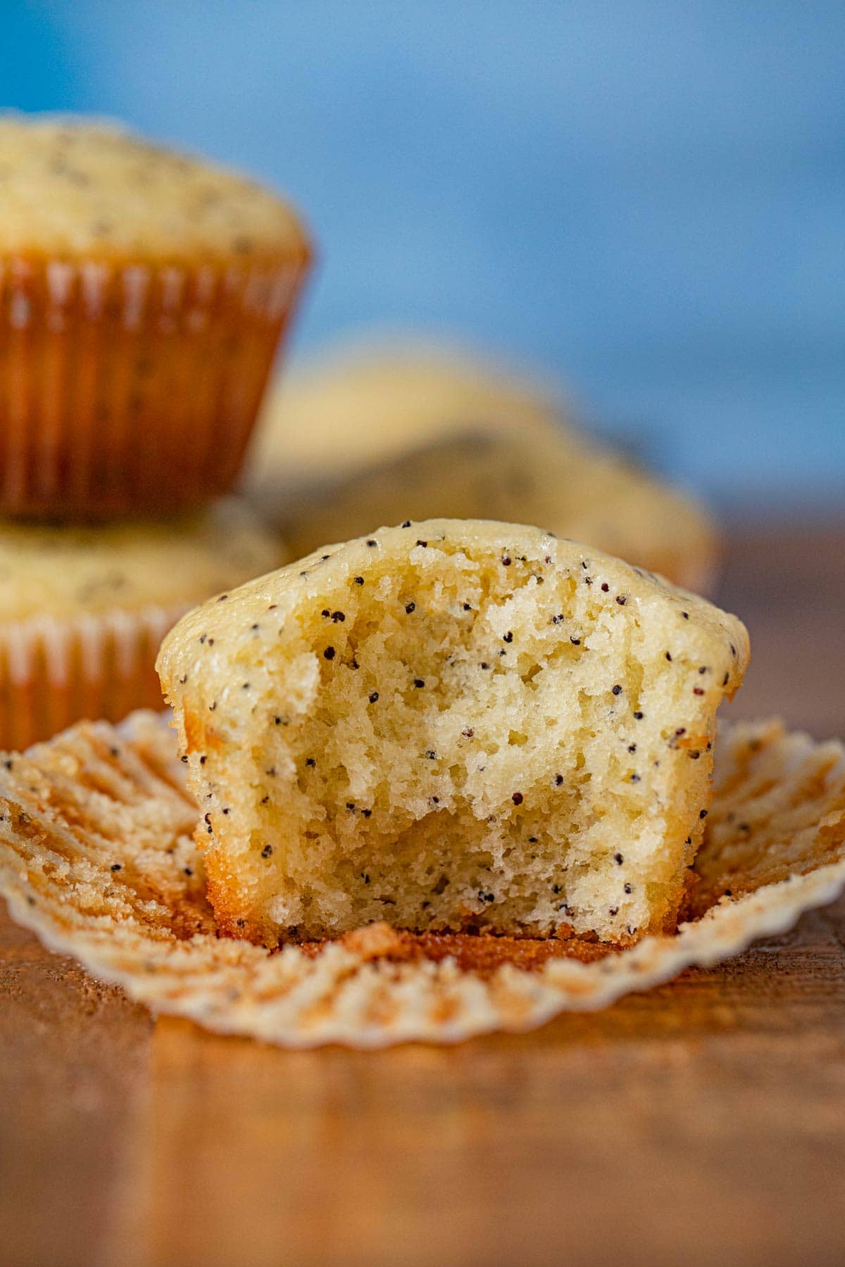 lemon poppyseed muffin