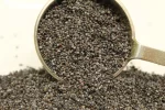 Poppy Seeds Dutch Organic